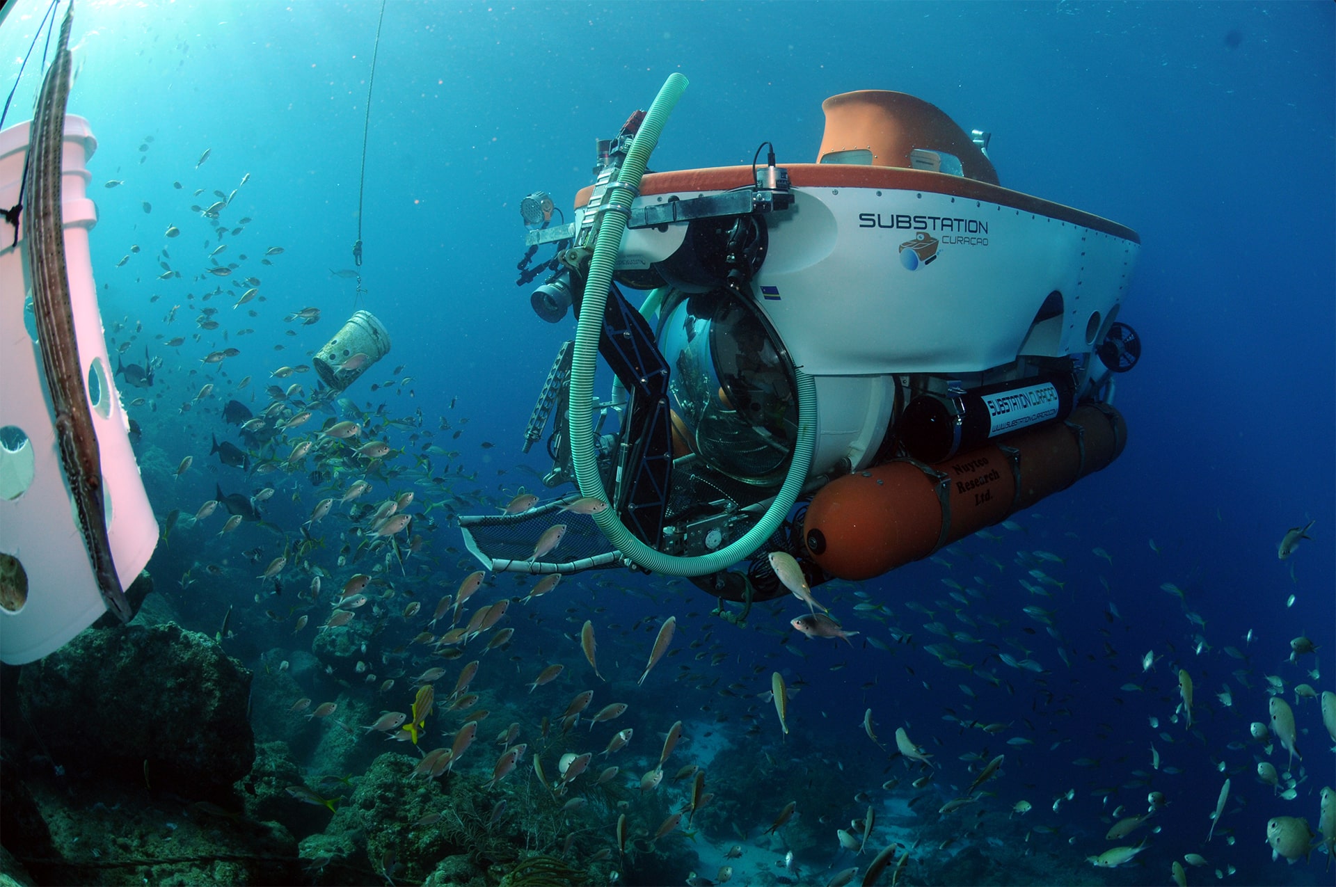 Curasub neemt onderzoekers mee om het tropische mariene ecosysteem te bestuderen, onderzoek op een unieke faciliteit.